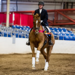 Keefer 4th level state champion 2013 (Heather Buttrum Photography)