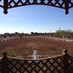 Judging in Litchfield Park, AZ