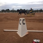 Judging driving dressage in AZ