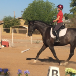 Kaan under saddle 2018