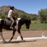 Pat and her lovely Mustang Keeper 2023